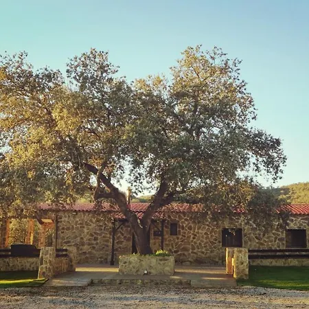 Con Skatepark Y Piscina 