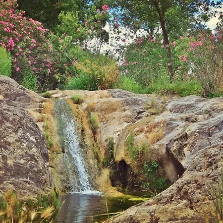 Con Skatepark Y Piscina 