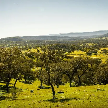 Con Skatepark Y Piscina 