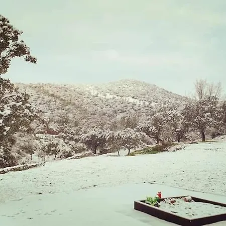 Con Skatepark Y Piscina 
