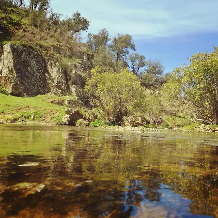 Con Skatepark Y Piscina 
