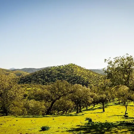 Con Skatepark Y Piscina 