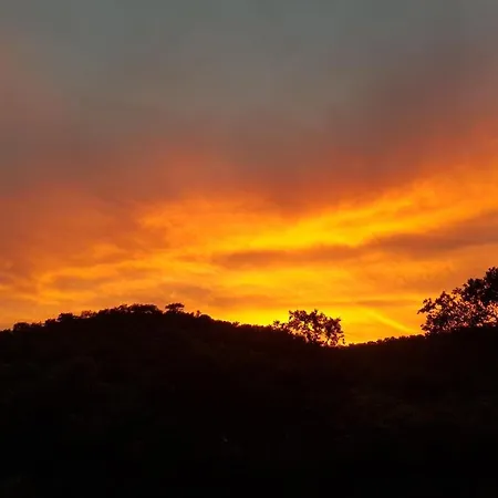 Con Skatepark Y Piscina 