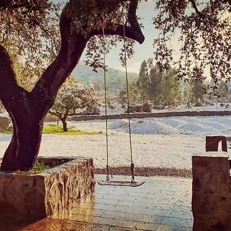 Con Skatepark Y Piscina 