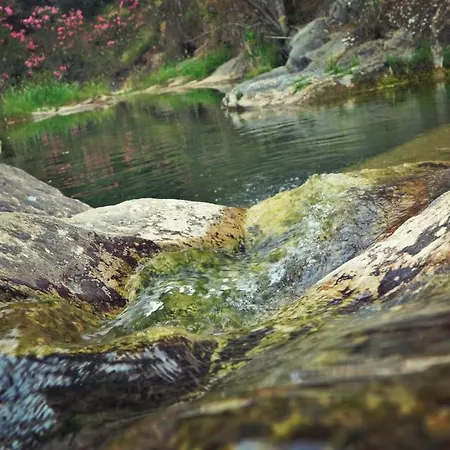 Con Skatepark Y Piscina 