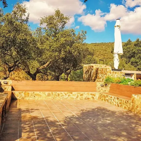 Con Skatepark Y Piscina 