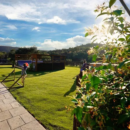 Con Skatepark Y Piscina 