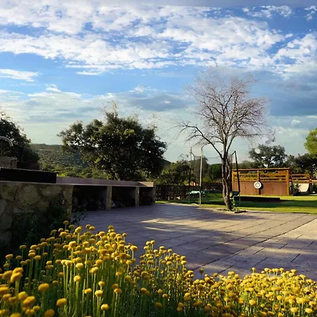 Con Skatepark Y Piscina 