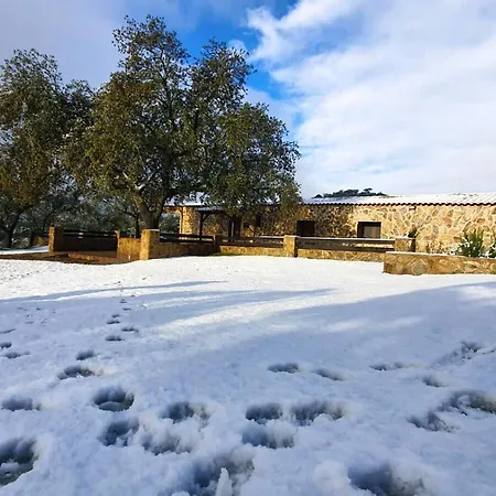 Con Skatepark Y Piscina 