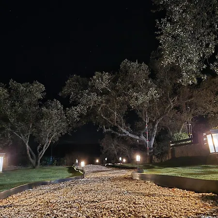 Con Skatepark Y Piscina 