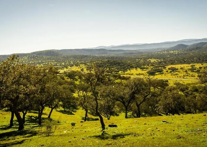 La Quijada Del Lobo *