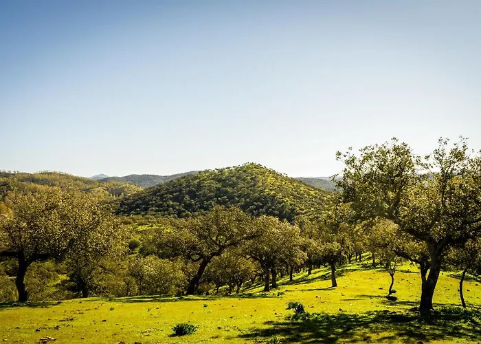 La Quijada Del Lobo *