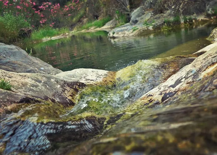 La Quijada Del Lobo *