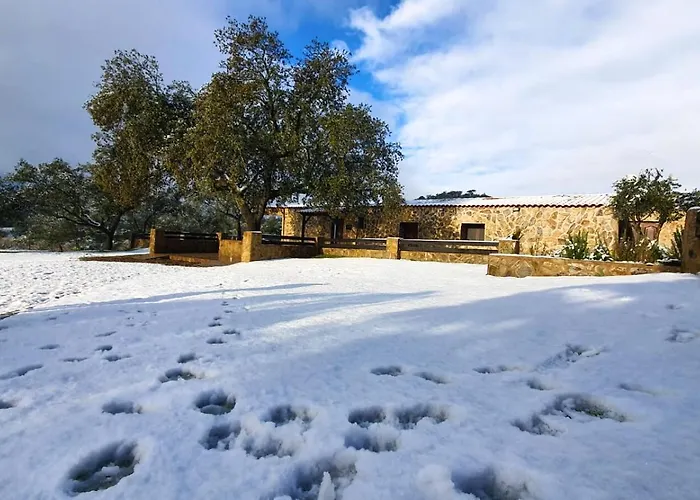 La Quijada Del Lobo *